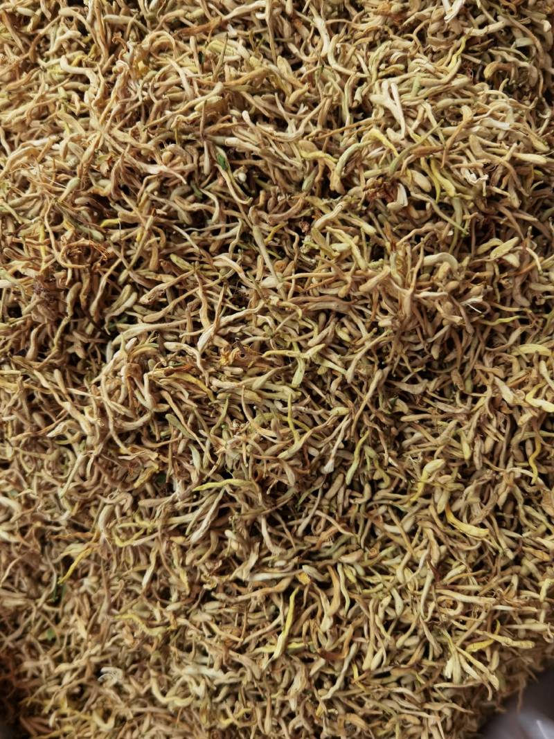 金银花山东湖南银花各种规格二花产地直销品质保证