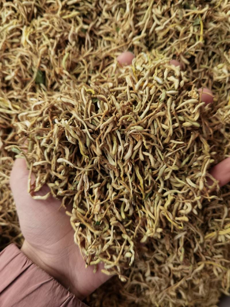 金银花山东湖南银花各种规格二花产地直销品质保证