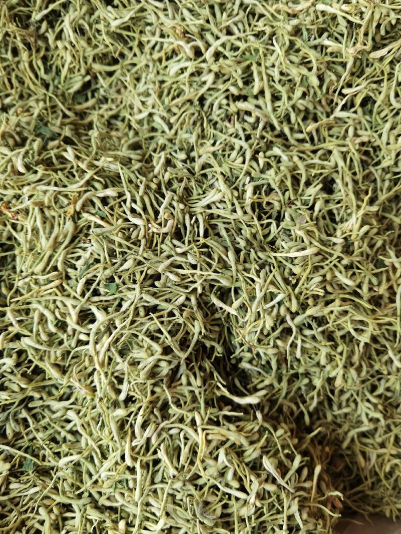 金银花山东湖南银花各种规格二花产地直销品质保证