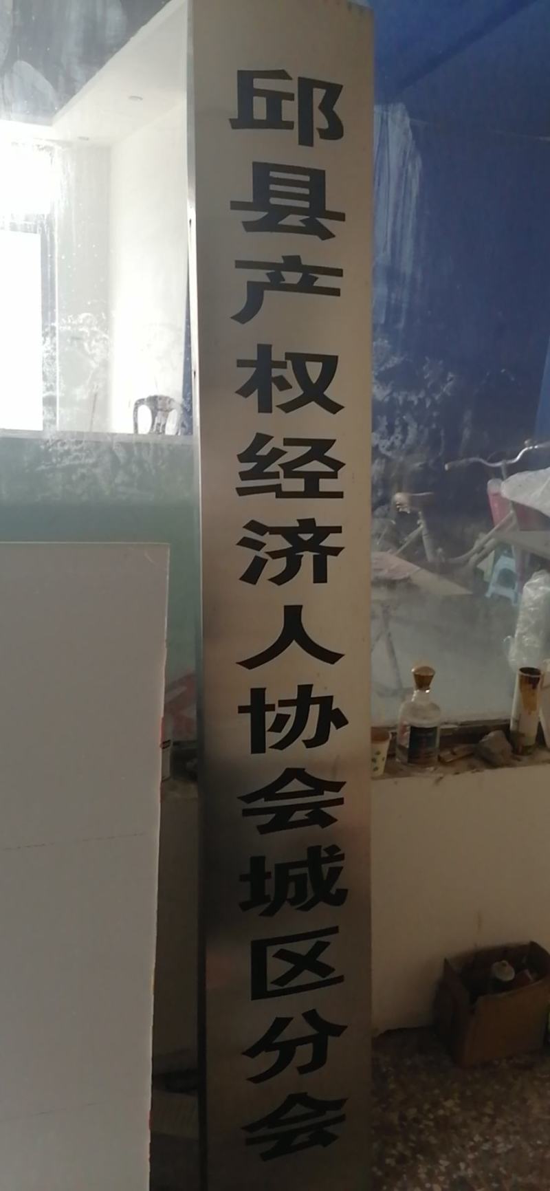 国槐树十公分出手十万棵