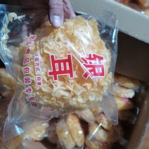 古田精选一级银耳干银耳产地直供可定制