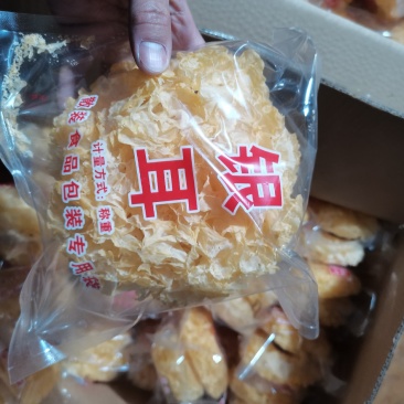 古田精选一级银耳干银耳产地直供可定制
