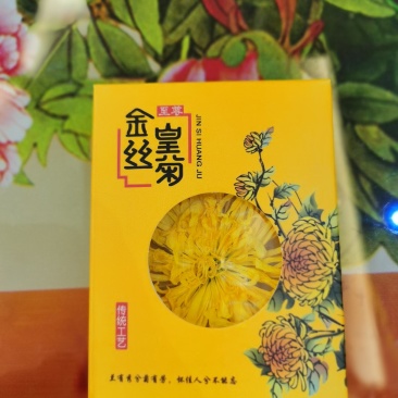 金丝皇菊有需要我的联系我哦