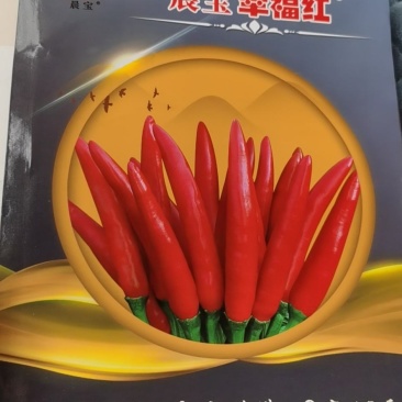 【晨宝种业】幸福红高辣朝天椒种子高产抗病