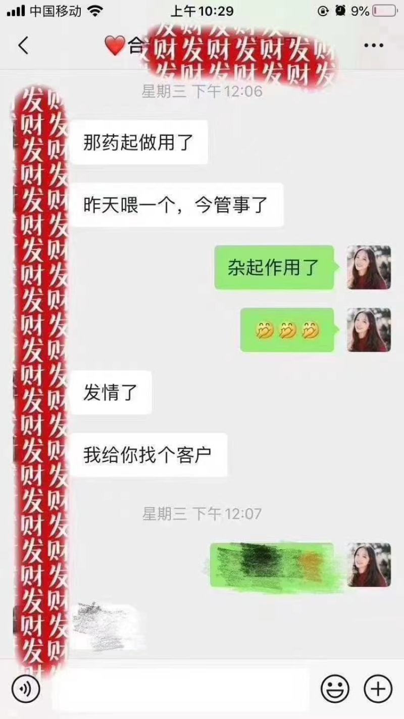 情旺是养母畜的宝，一用就见效。喂完就发情。发情及时。