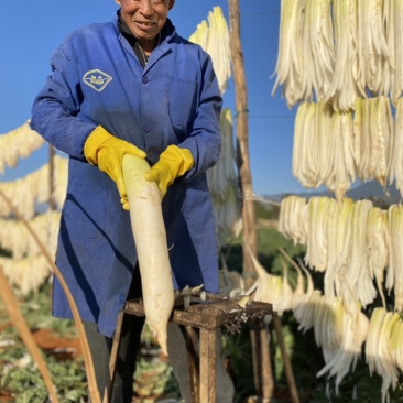 云南风干萝卜条五把刀2021新货行情价格每日更新