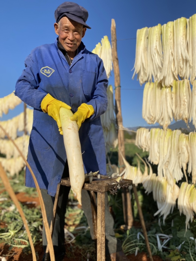 云南风干萝卜条五把刀2021新货行情价格每日更新