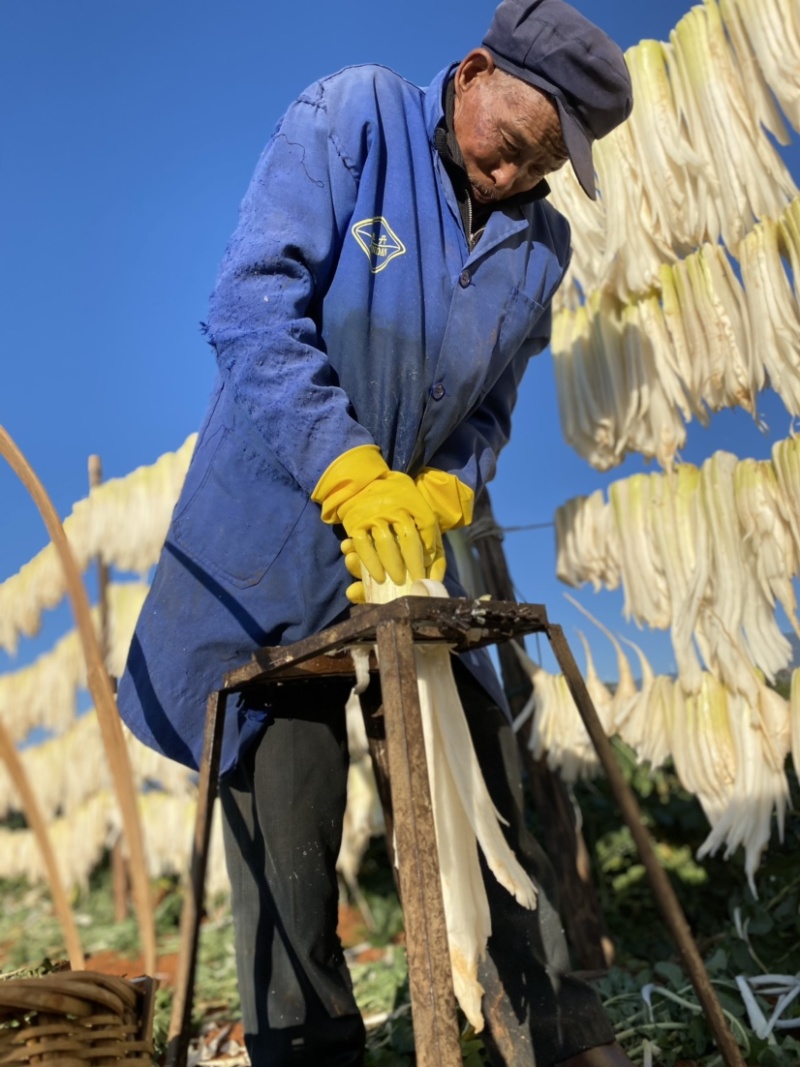 云南风干萝卜条五把刀2021新货行情价格每日更新