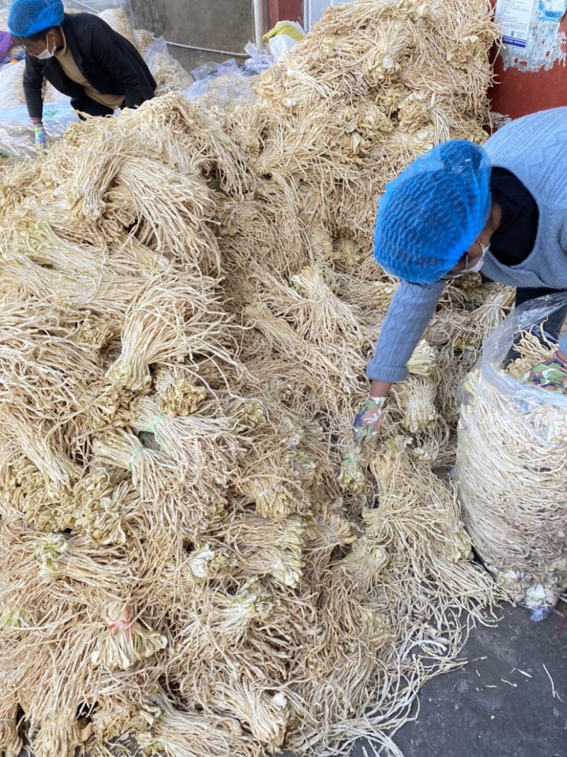 云南风干萝卜条五把刀2021新货行情价格每日更新