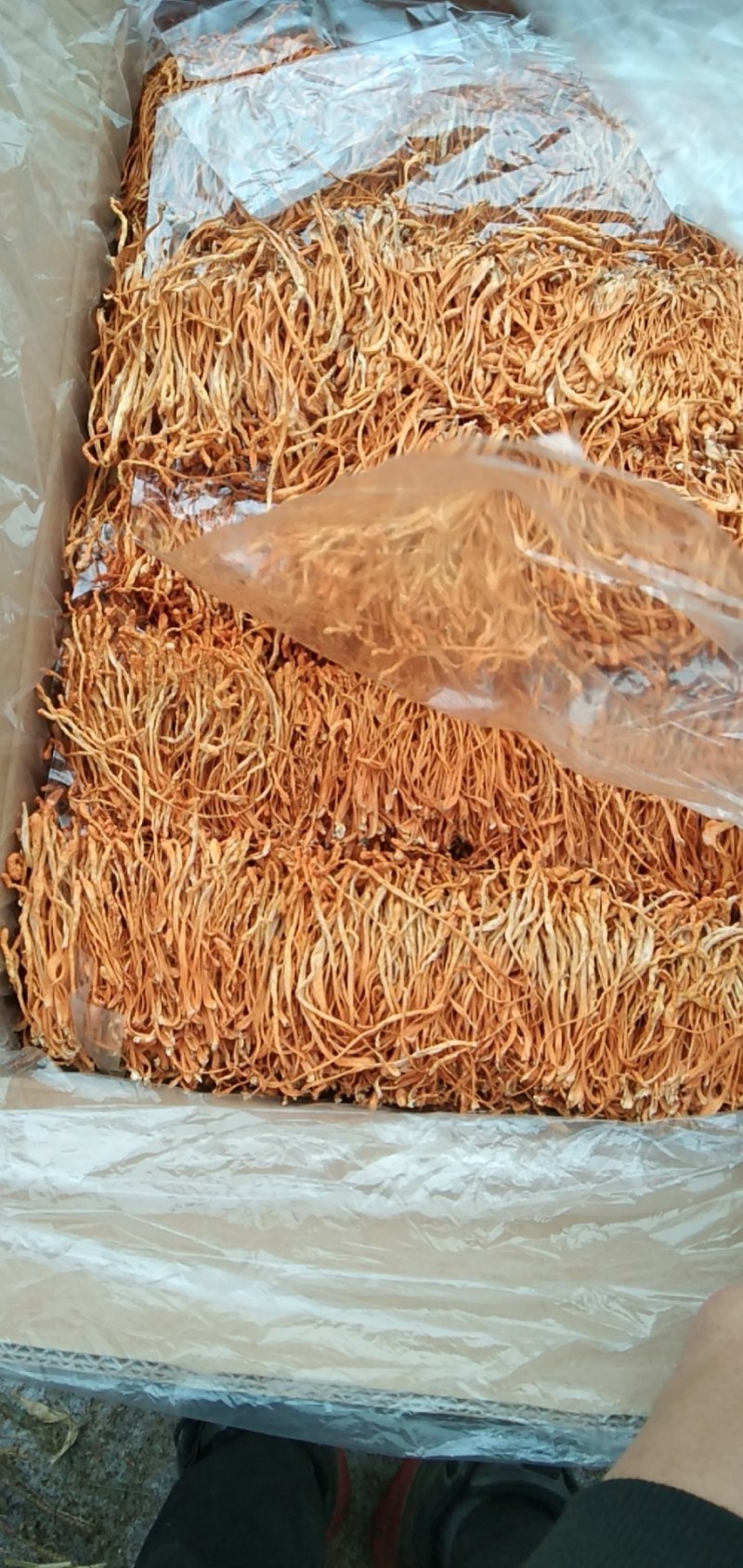 内蒙干虫草，基地直销，品质保证，货源足，而且长年有货，