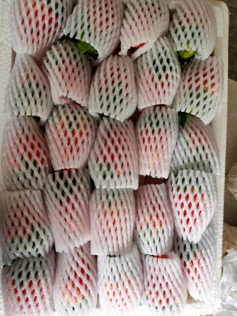 新鲜奶油草莓红颜巧克力草莓好吃不贵物美价廉
