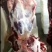 黄牛肉，剔骨羊肉，鲜肉，各种分割品，无水纯干