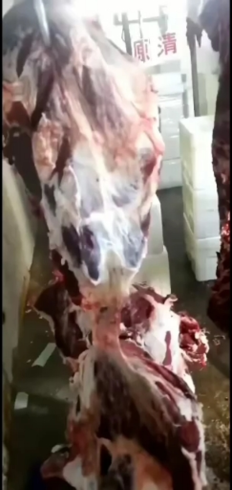 黄牛肉，剔骨羊肉，鲜肉，各种分割品，无水纯干