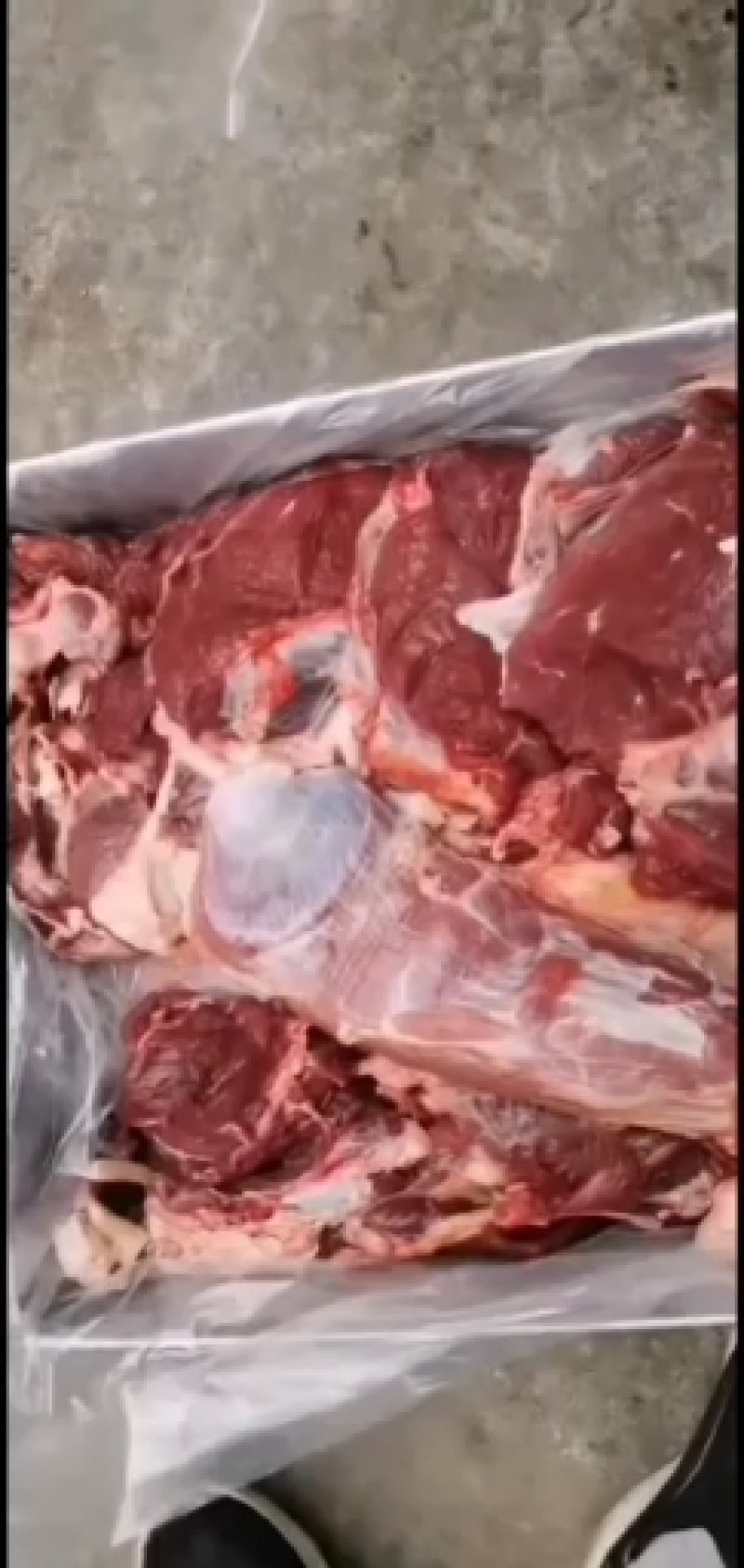 黄牛肉，剔骨羊肉，鲜肉，各种分割品，无水纯干