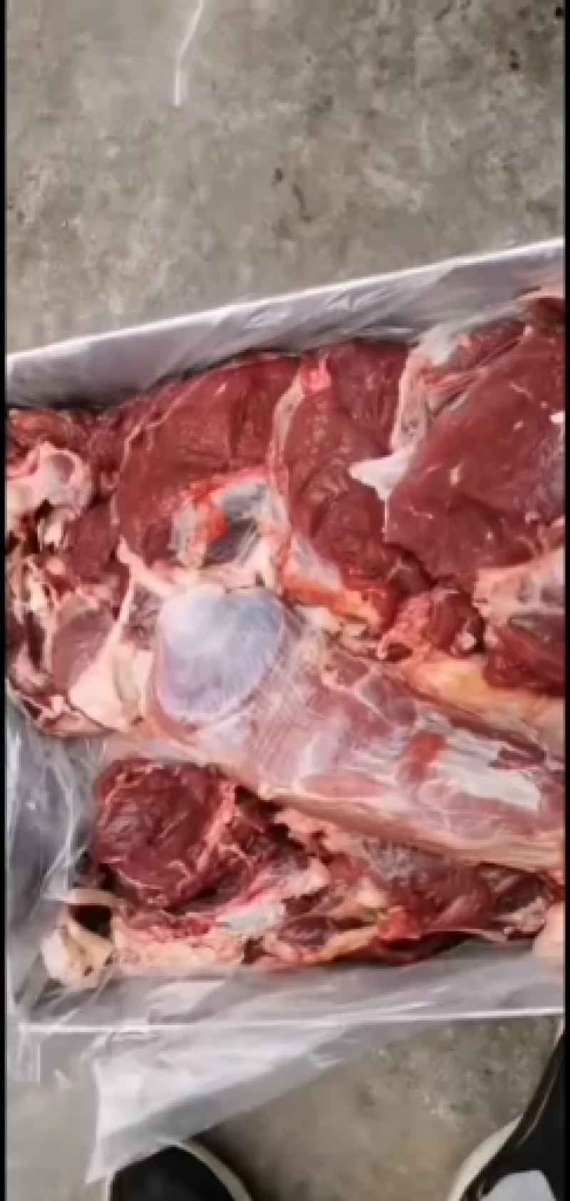 黄牛肉，剔骨羊肉，鲜肉，各种分割品，无水纯干