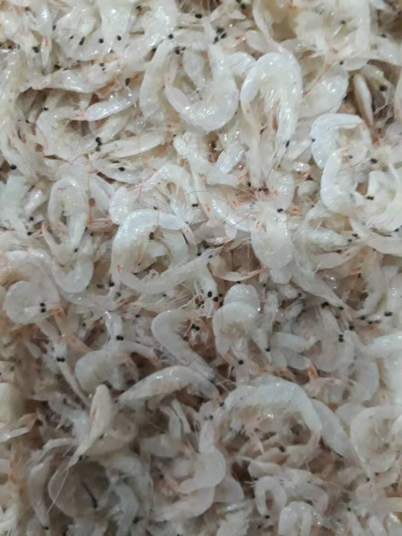 无盐淡干虾皮走量货电商专供实力供货商一手货源