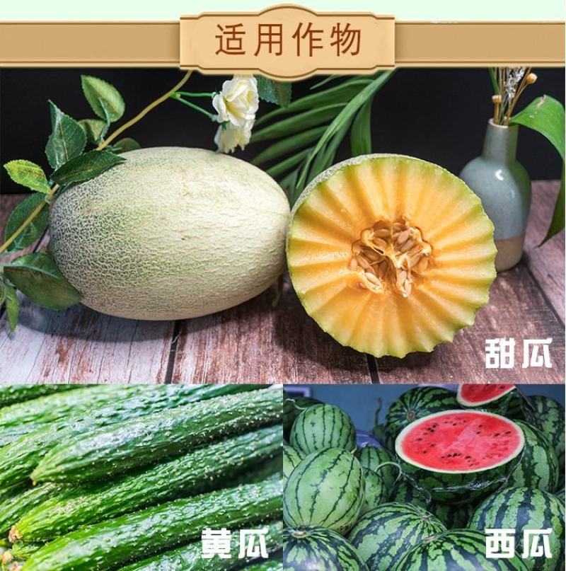 果旺牌施特优氯吡脲0.1%提高座瓜率座瓜灵增产调节生长