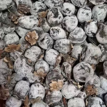 特级白霜老树柿饼野生小柿饼