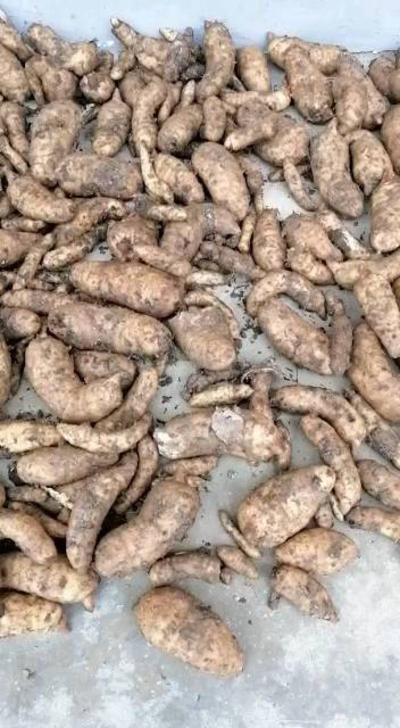 天麻中小统秦岭农家仿野生种植无硫干品1斤包邮
