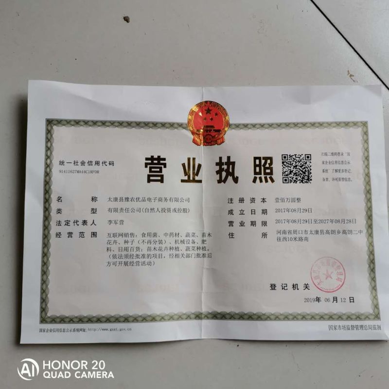 18公分楸树20公分楸树量大，树形优美！价格美丽！