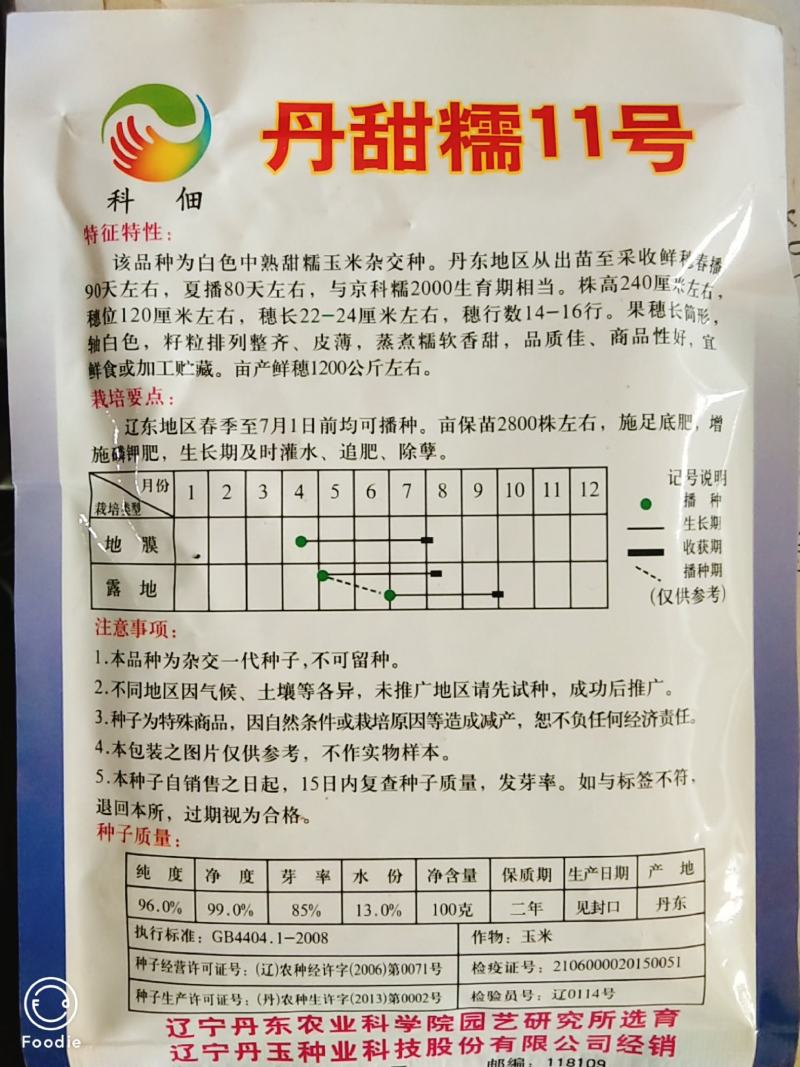 玉米种/香甜糯玉米种/丹甜糯11号