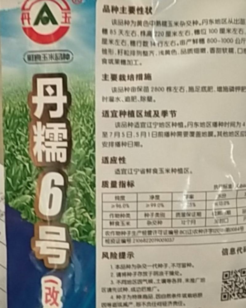 香糯甜黄玉米/丹糯6号