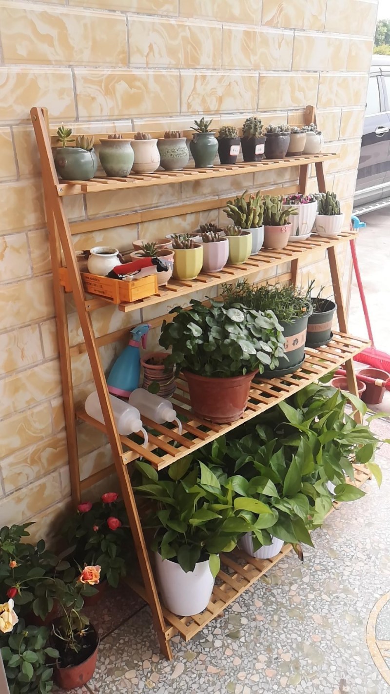 （包邮）花架子客厅多层花盆阳台特价清仓置物架盆栽植物室
