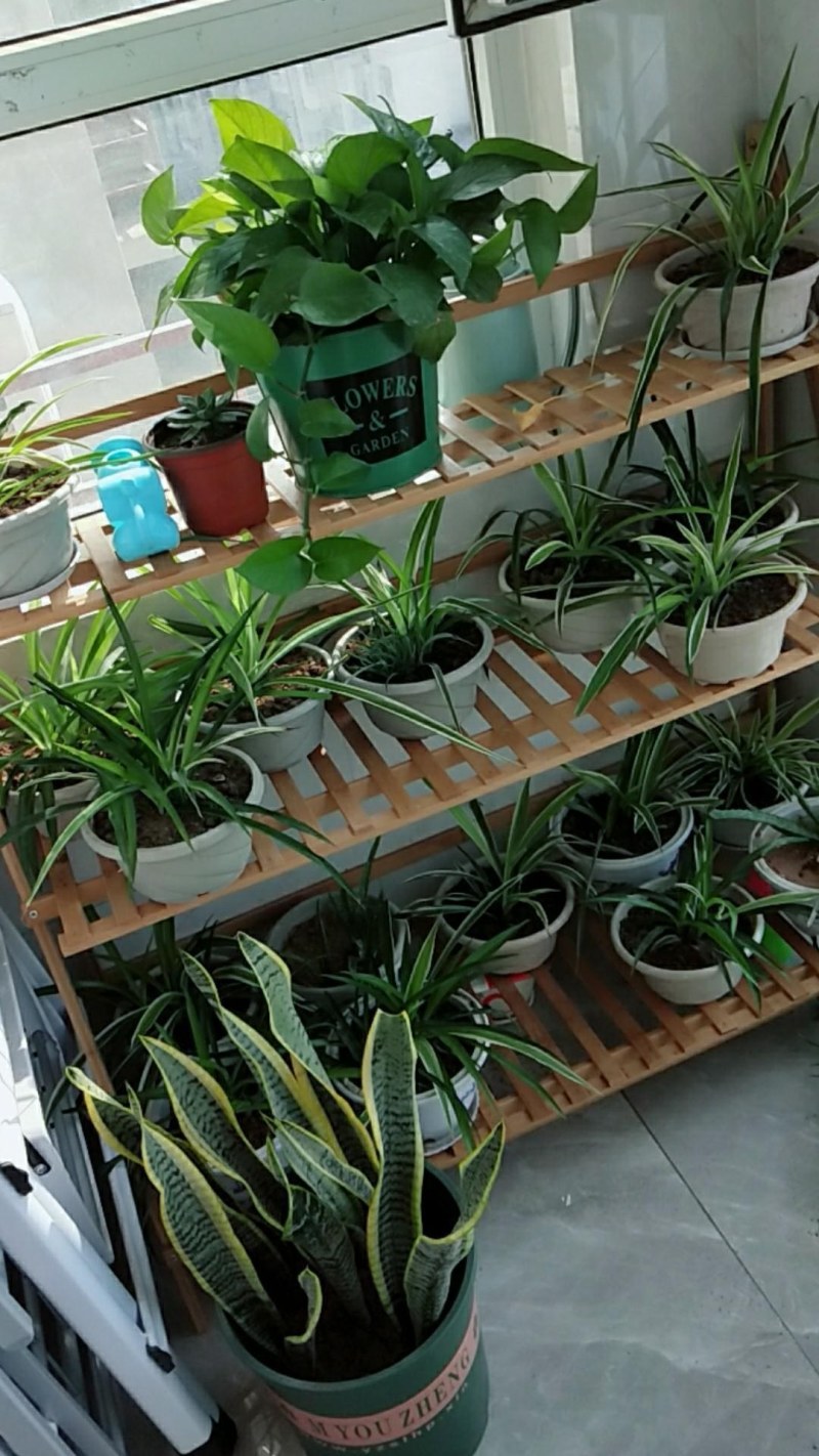 （包邮）花架子客厅多层花盆阳台特价清仓置物架盆栽植物室