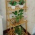 （包邮）花架子客厅多层花盆阳台特价清仓置物架盆栽植物室