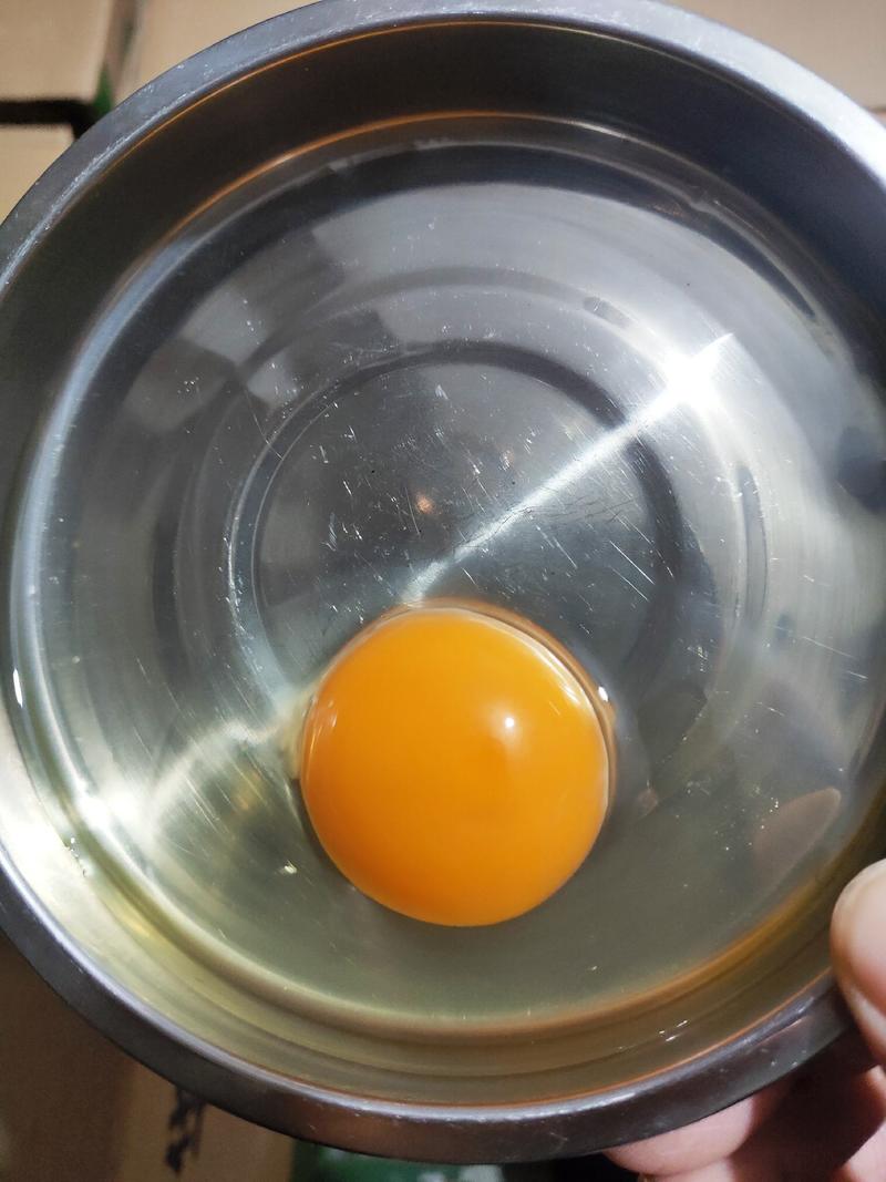 11-12个一斤中号绿壳蛋乌鸡蛋清稠密蛋黄紧致顾客回率高