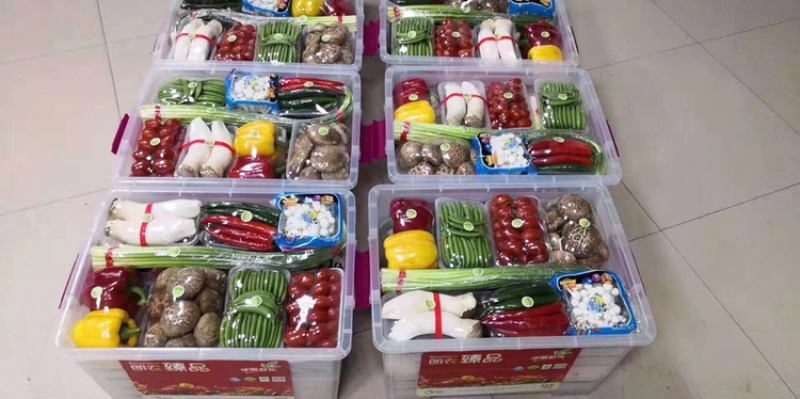 蔬菜，箱装礼品菜，送礼**