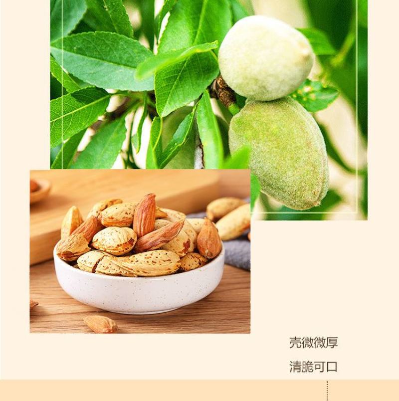 奶油巴旦木电商无痕一件代发送开果器电商规格