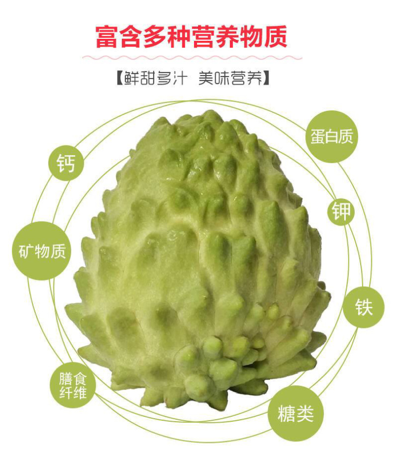 台湾释迦果支持一件代发，电商。包邮现货广西云南仓