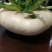 玉环江江盘菜批发，