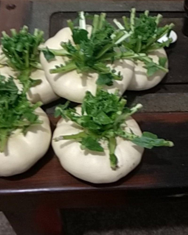 玉环江江盘菜批发，
