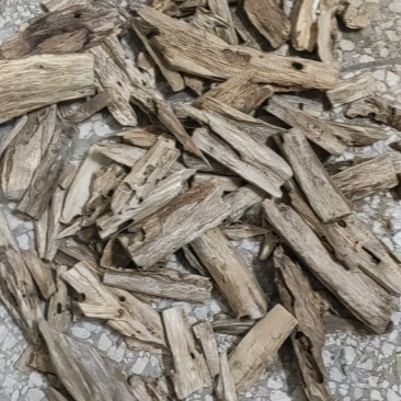 中药材沉香天然虫漏！