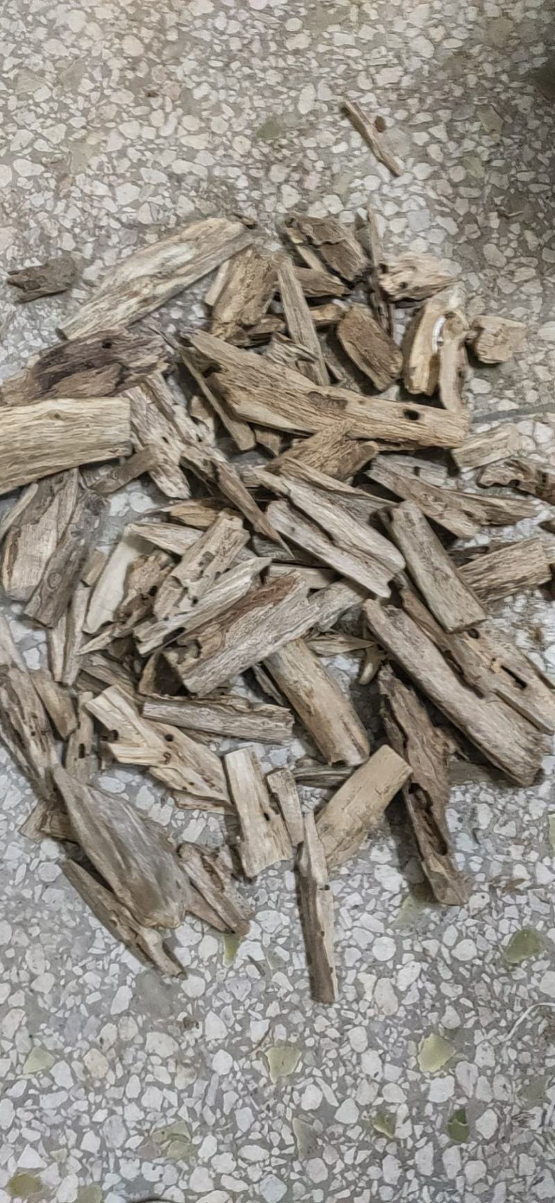 中药材沉香天然虫漏！