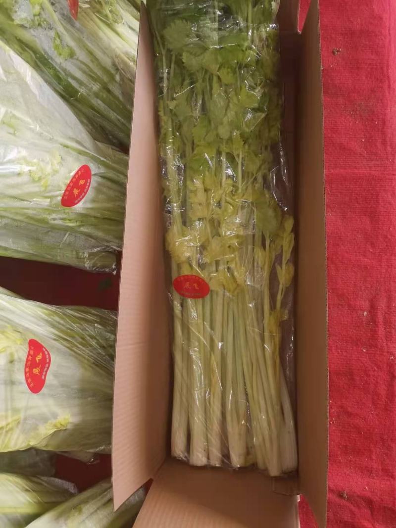 高端蔬菜礼盒源产地直供