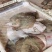 鲜活速冻多宝鱼单体单冻一箱20斤，全国发货