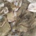 鲜活速冻多宝鱼单体单冻一箱20斤，全国发货