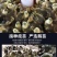 正宗狮头鹅苗批发企业店铺认证安全有保障