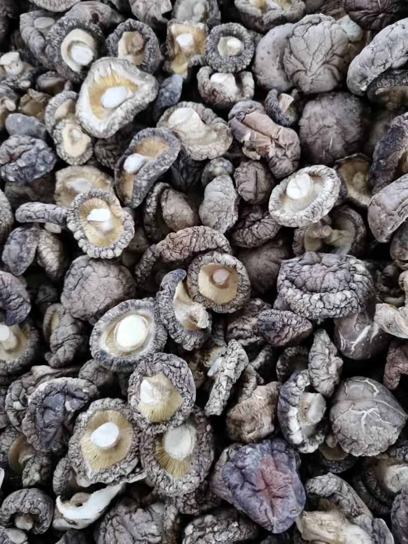 冬菇产地直销，质量保证货源充足，诚信合作欢迎采购