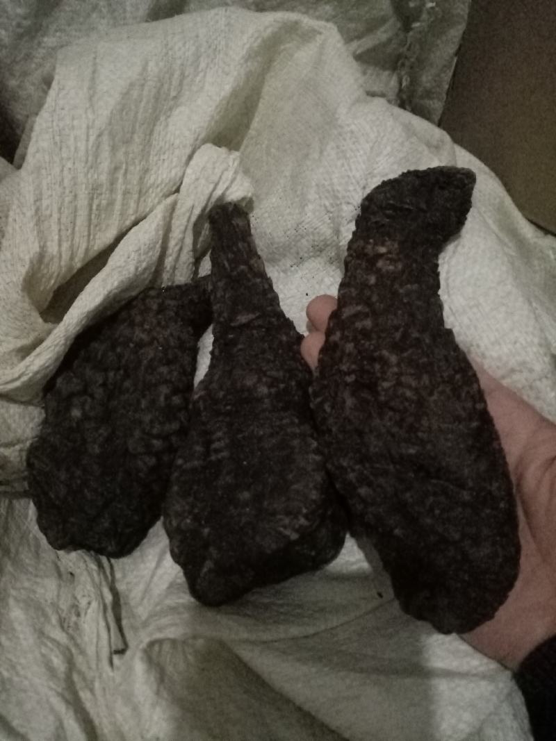 肉苁蓉新疆油苁蓉2020新货大量上市需要制的联系