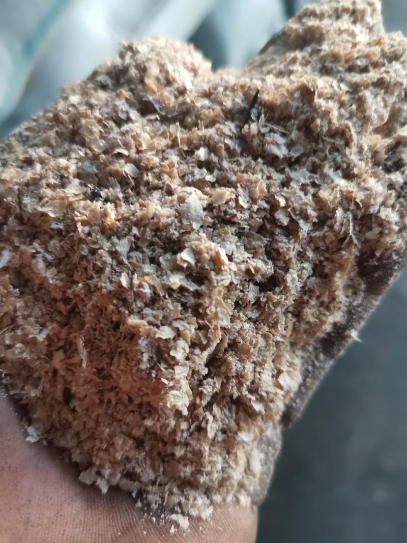 麸皮，哈国进口麸皮代发