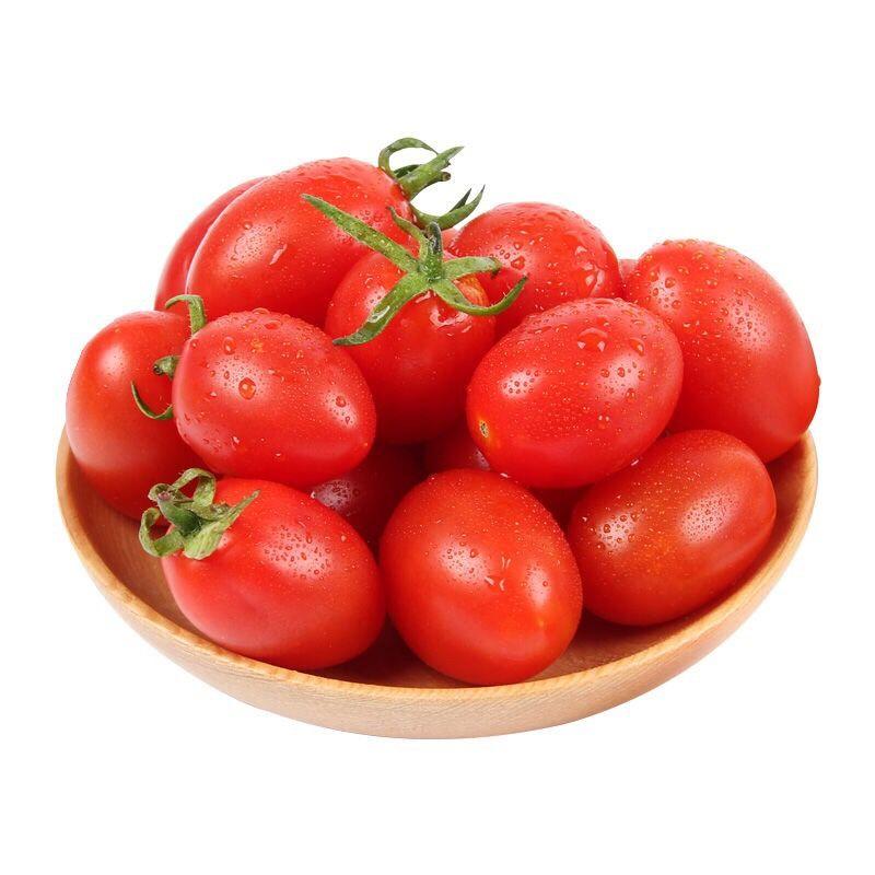 新鲜圣女果樱桃小番茄西红柿孕妇儿童水果5件1件包