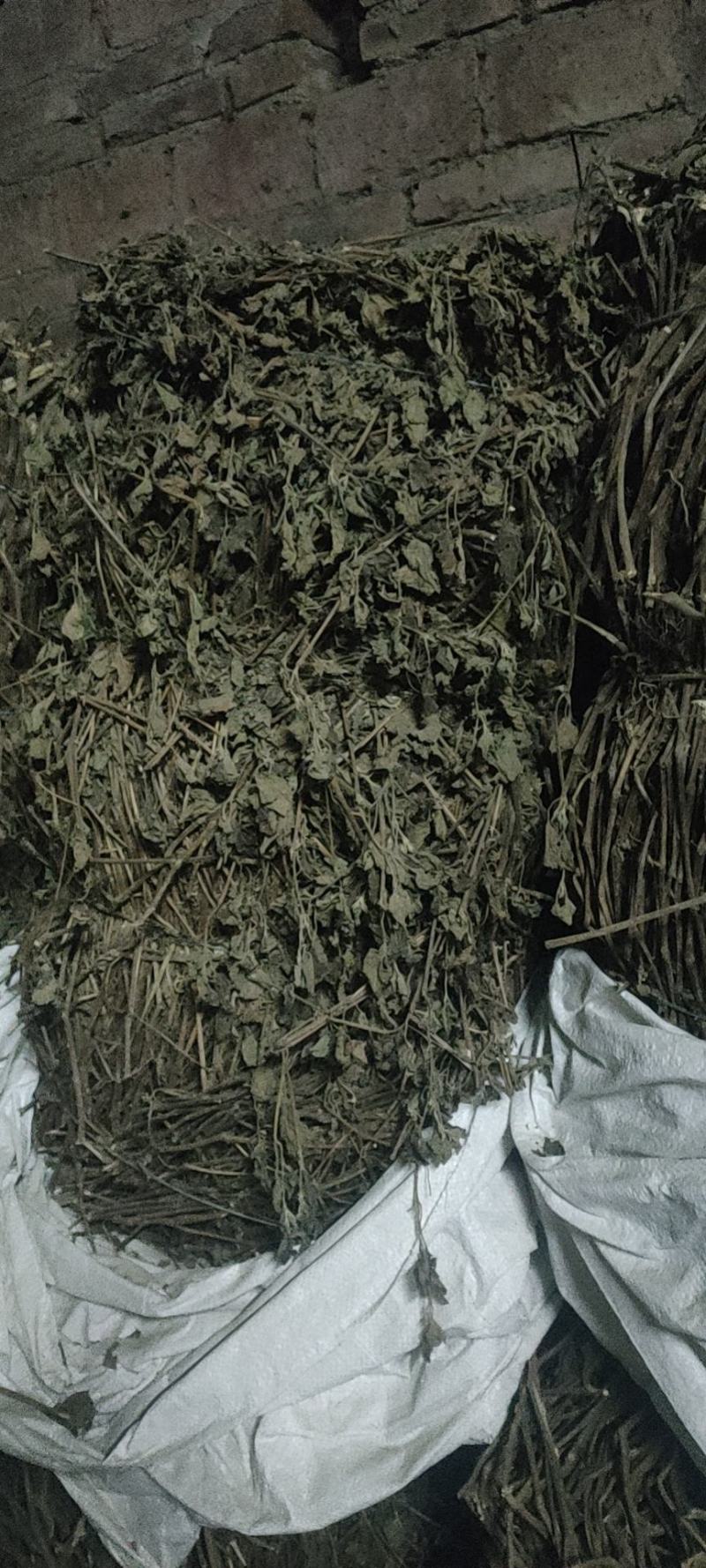 阳春市瑞科中药材种植专业合作社