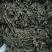 阳春市瑞科中药材种植专业合作社