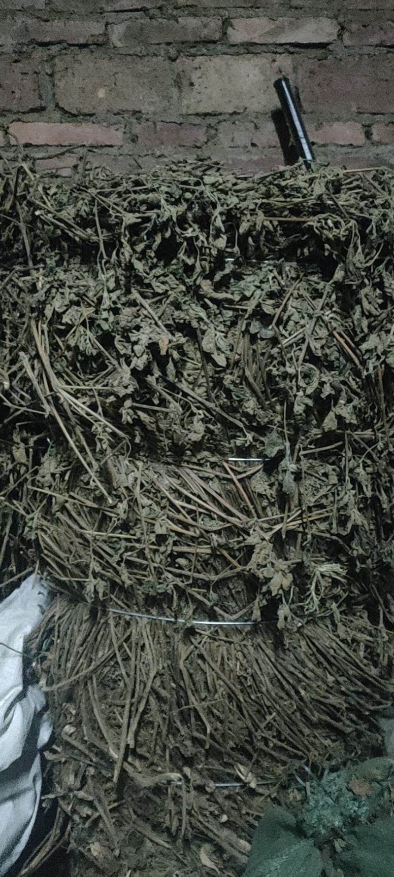 阳春市瑞科中药材种植专业合作社