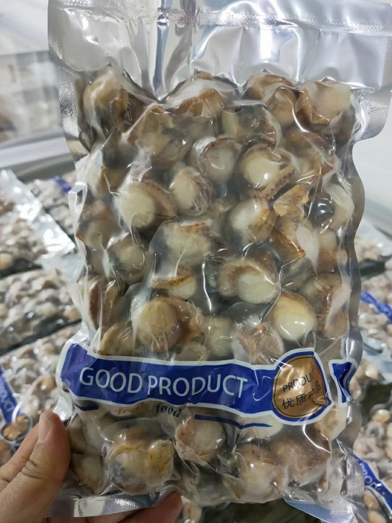 扇贝肉可以按照客户规格要求加工