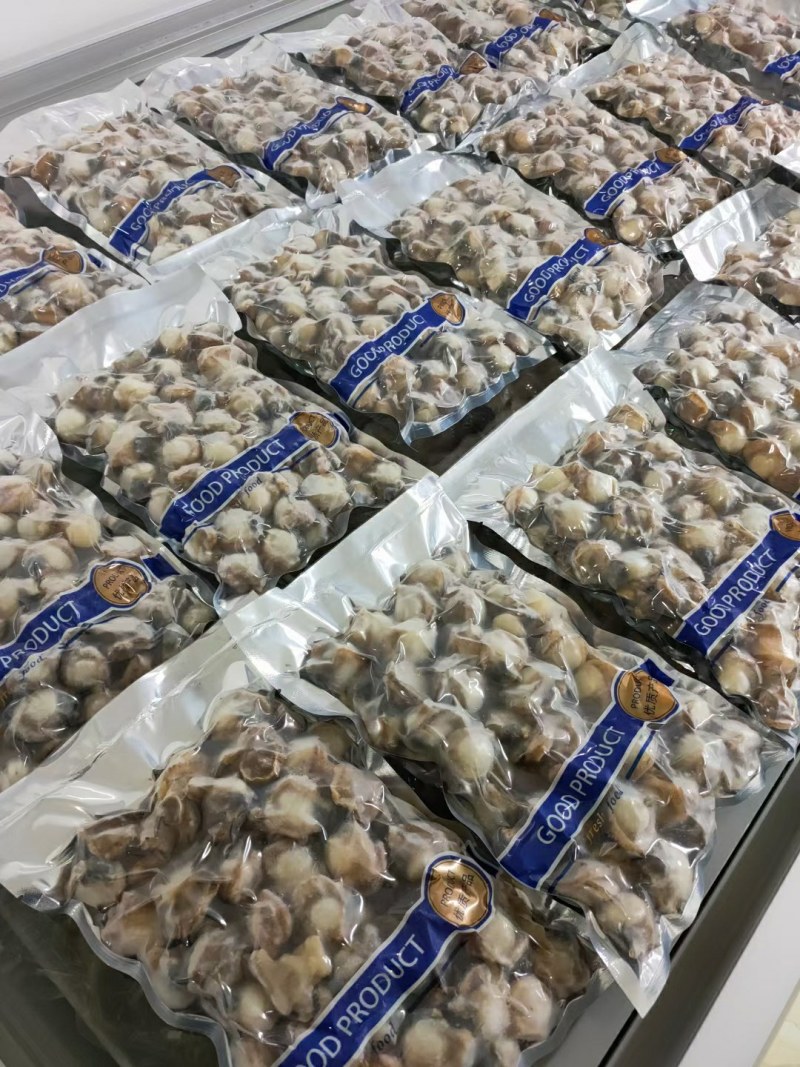 扇贝肉可以按照客户规格要求加工
